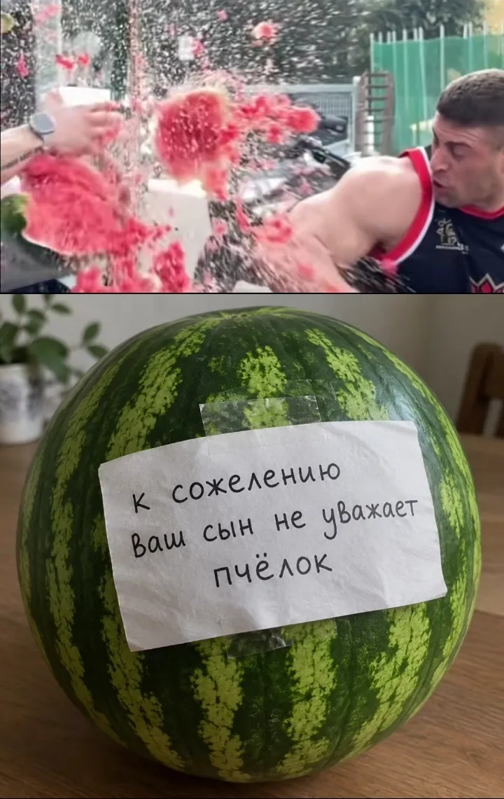 Иллюстрация к слову: Извините, я докажу что реки ютуба не властны надо мной!