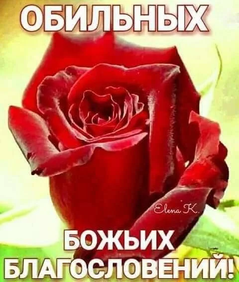 Иллюстрация к слову: Добрый день,
