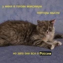 Иллюстрация к слову: Мысли
