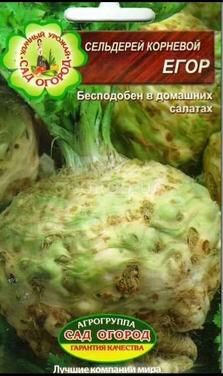 Иллюстрация к слову: Егор Шедловский