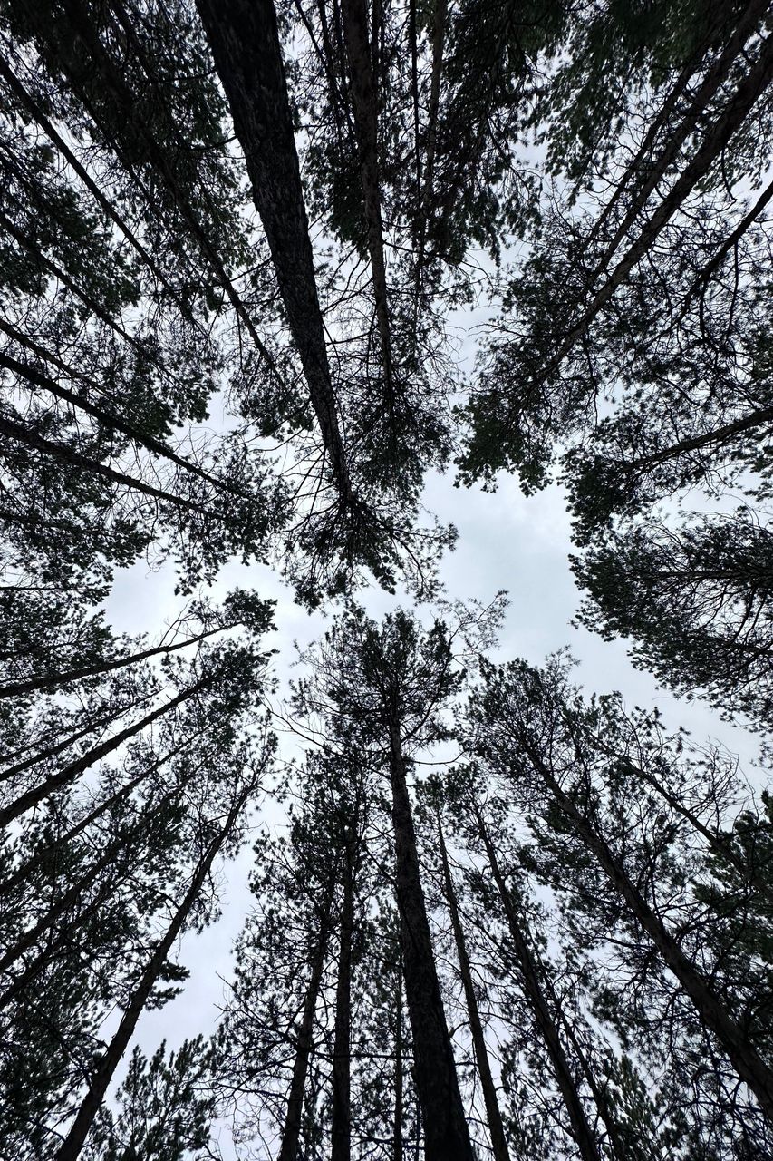 Иллюстрация к слову: Поделитесь своими крутыми фотографиями