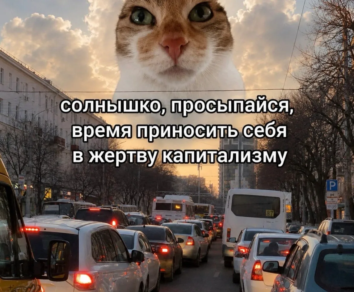 Иллюстрация к слову: Доброе утро!) )))))))))))))))