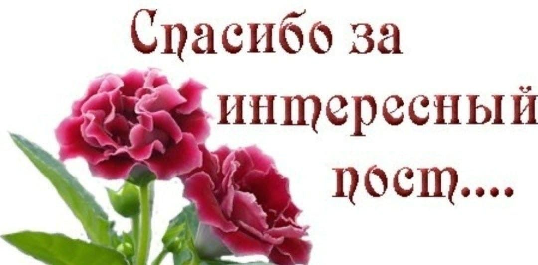 Иллюстрация к слову: Всем кто постит в Егороде