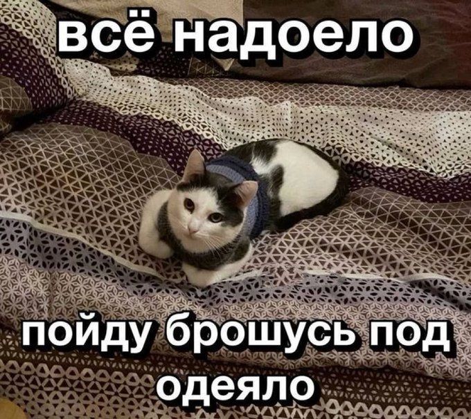 Иллюстрация к слову: Гоша Каневская