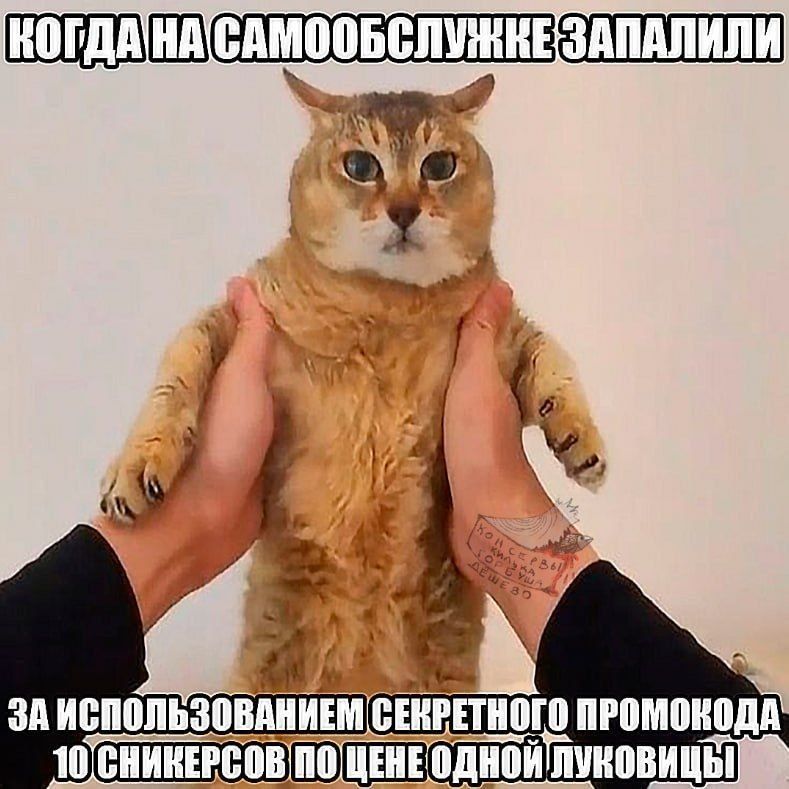Иллюстрация к слову: Егор почти