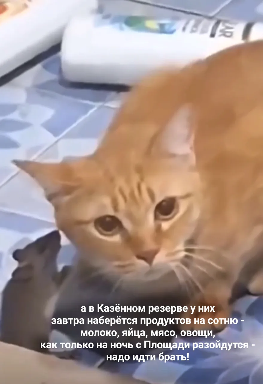 Иллюстрация к слову: #мем #мемегород #огород