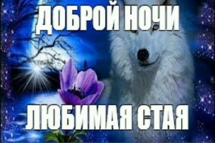 Иллюстрация к слову: Всем жителям Егорода желаю доброй ночи!
