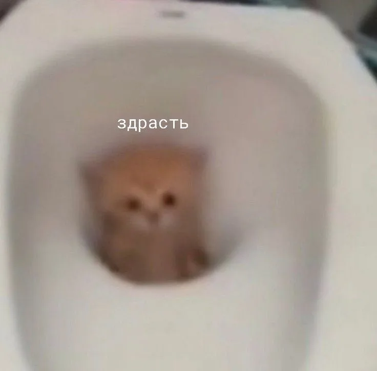 Иллюстрация к слову: Егоры, ночной сбор, ставь лосяру (❤️) если не спишь