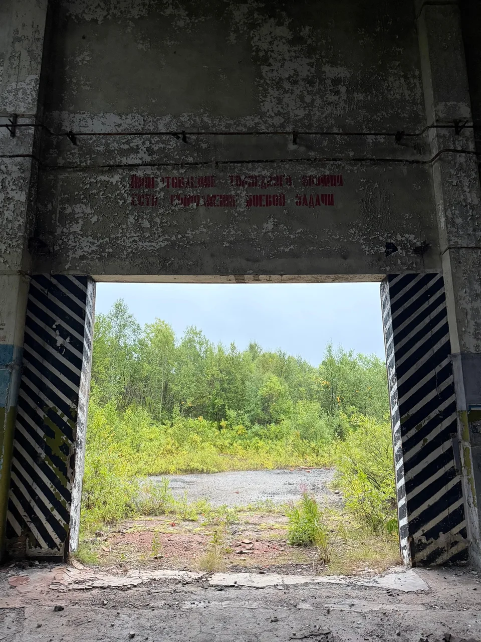 Иллюстрация к слову: Гоша