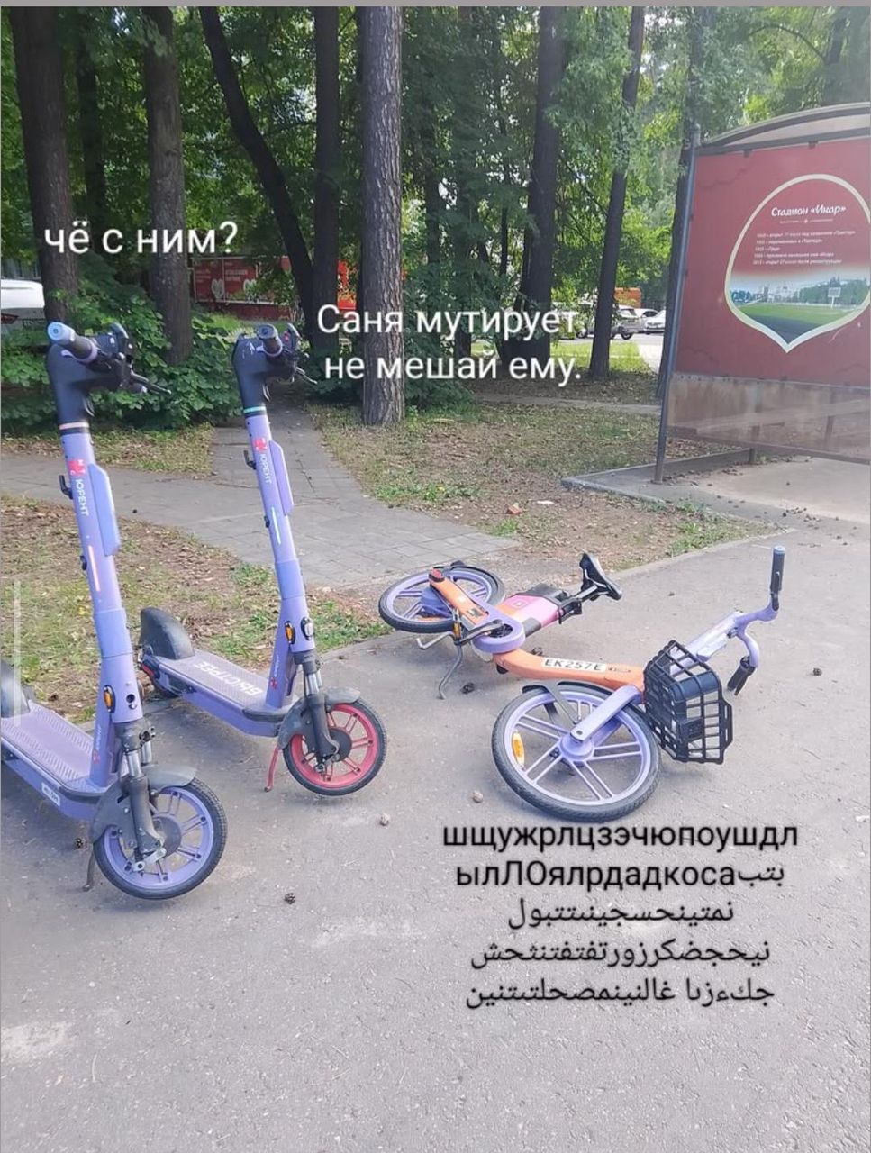 Иллюстрация к слову: Они тоже проходят стадию эволюции???