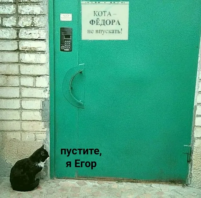 Иллюстрация к слову: Лена еГорбовская