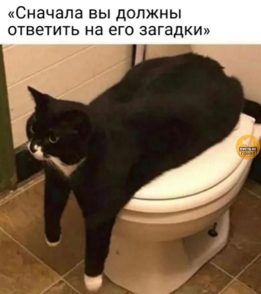 Иллюстрация к слову: Егор Терехов