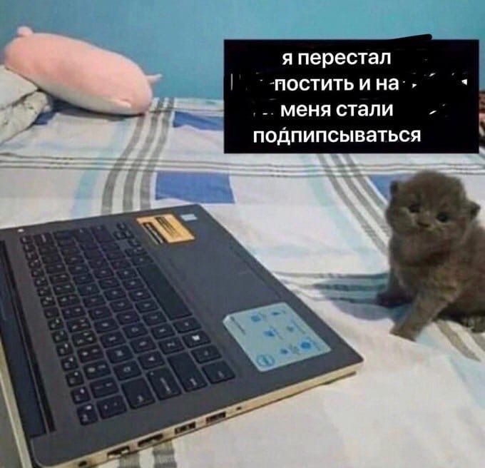 Иллюстрация к слову: Признай, чтобы не пропустить мемы с Егором! Реакции приветс…
