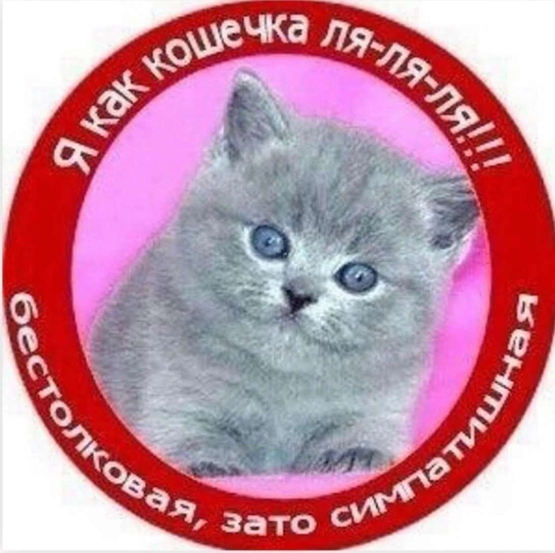 Иллюстрация к слову: Егор, как кошечка