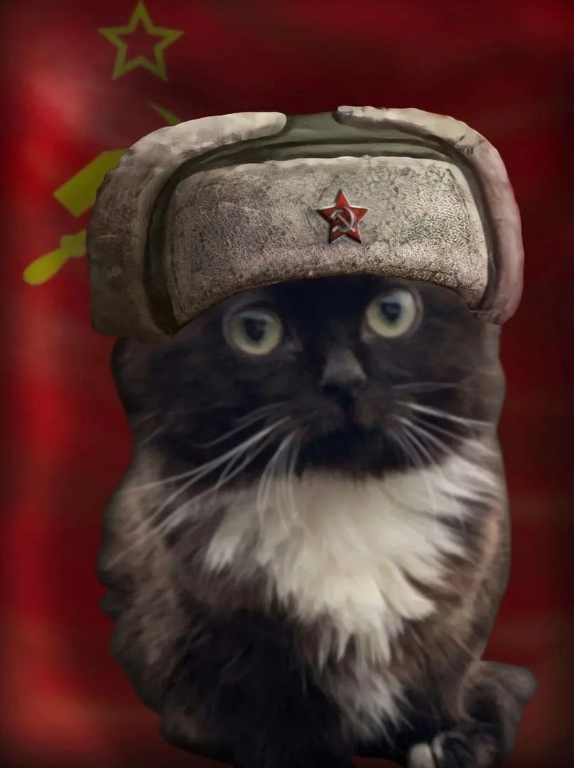 Иллюстрация к слову: Либегоры не догадываются, что вечерком комегоры вернутся с…