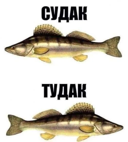 Иллюстрация к слову: Мемы давно не постил