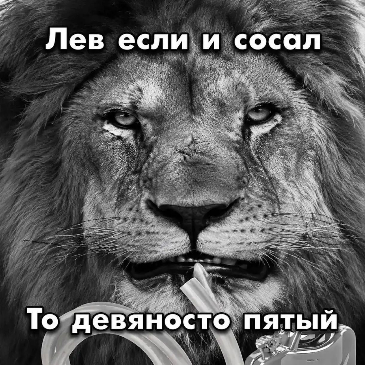 Иллюстрация к слову: Как вам идея заправляться спиртом?