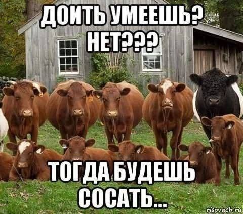 Иллюстрация к слову: Егор Ыгорыч