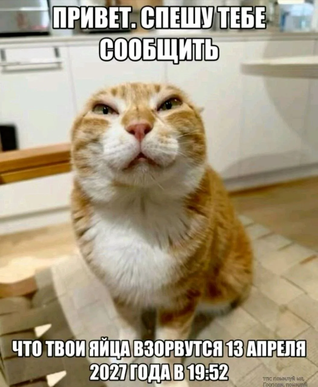 Иллюстрация к слову: Егор Смирнов