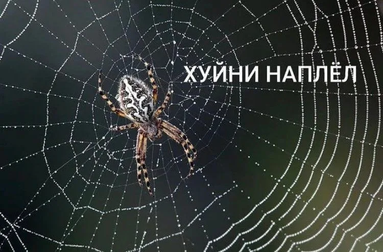 Иллюстрация к слову: Друг проигрывает мне 20 каток подряд, и наконец-то выигрыва…