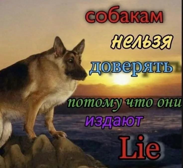 Иллюстрация к слову: Запомните