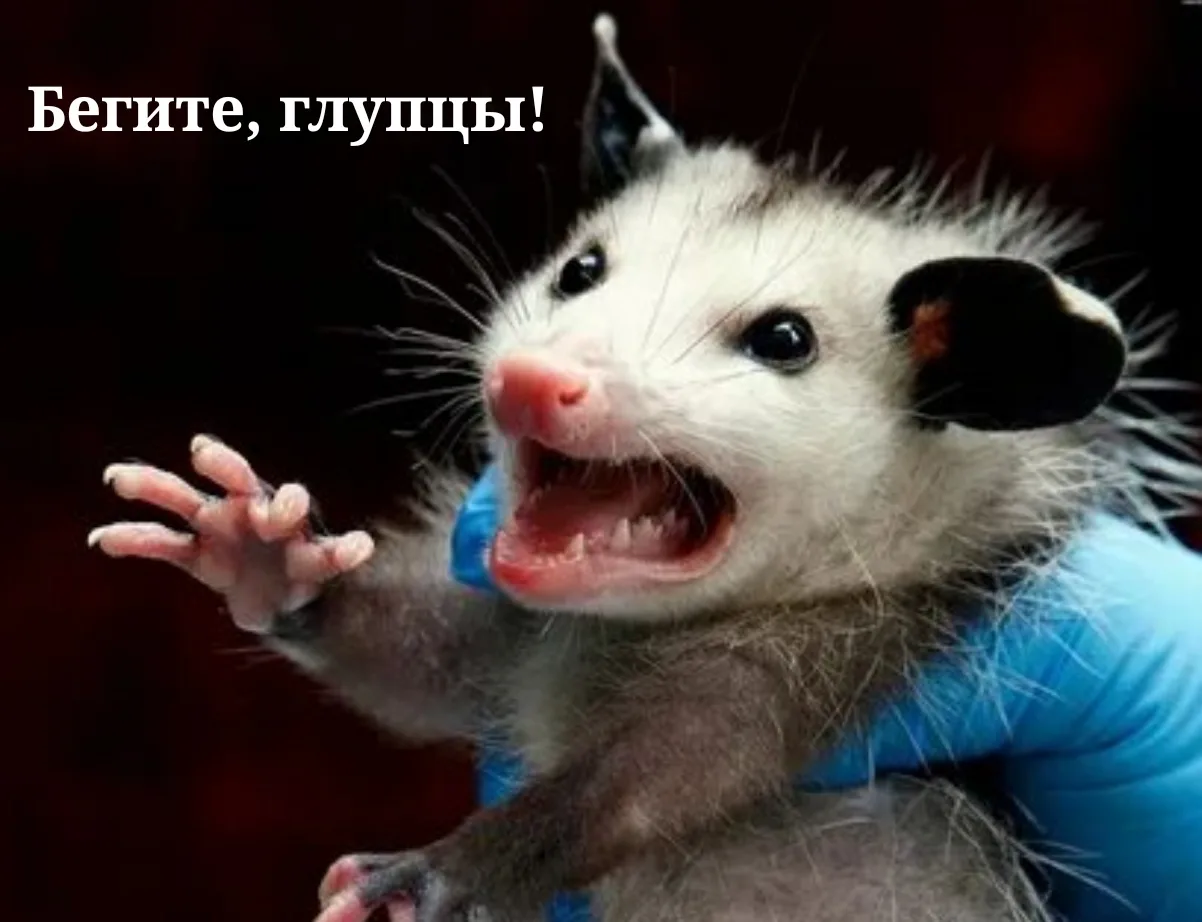 Иллюстрация к слову: Лёня еГорбовская