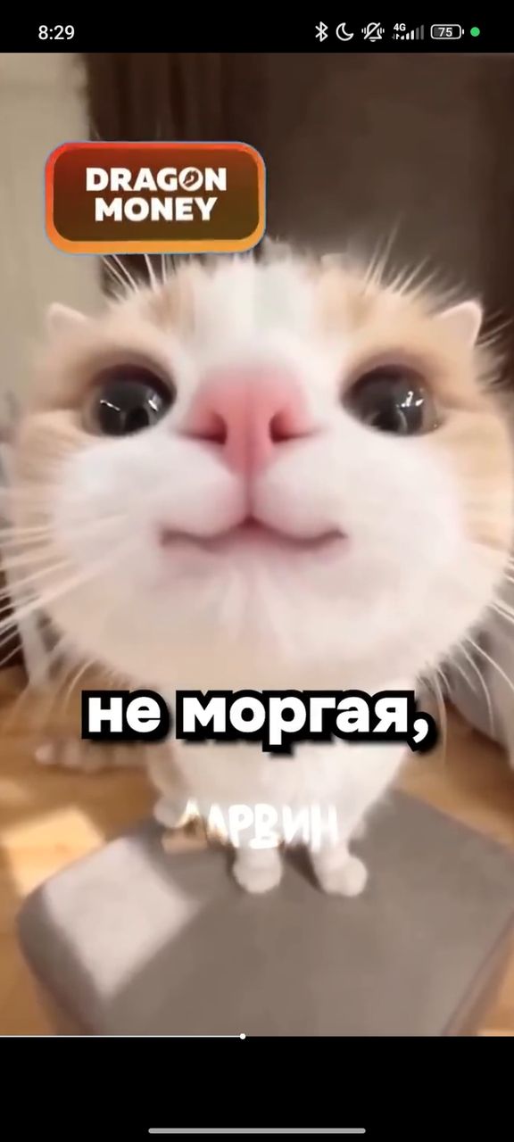 Иллюстрация к слову: ДАВАЙТЕ СДЕЛАЕМ ВЫБОРЫ МЭРА ЕГОРОДА?