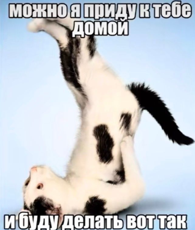 Иллюстрация к слову: Можно?