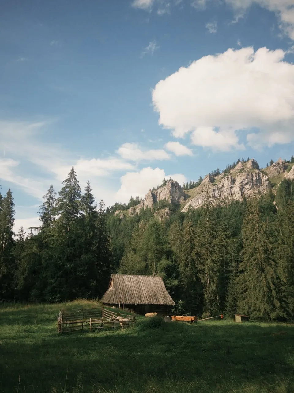 Иллюстрация к слову: Гоша