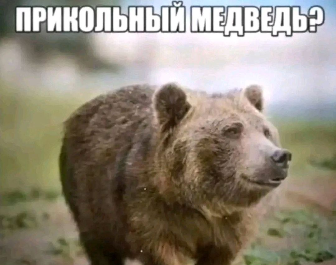 Иллюстрация к слову: Егоры вам как?