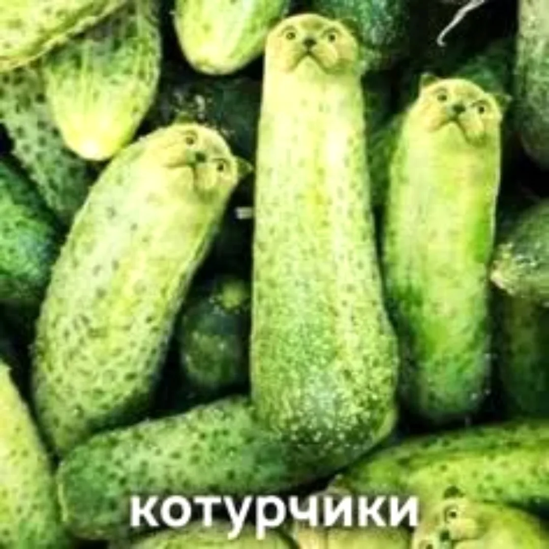 Иллюстрация к слову: https://boosty.to/yukinagat000/purchase/4013485?ssource=DIR…