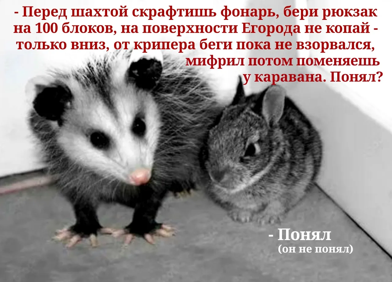 Иллюстрация к слову: Лёня еГорбовская