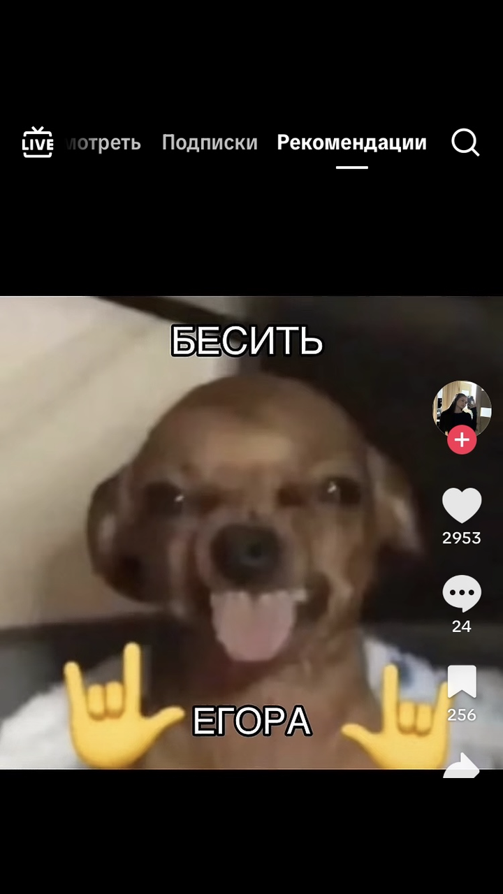 Иллюстрация к слову: Мне скинули это: