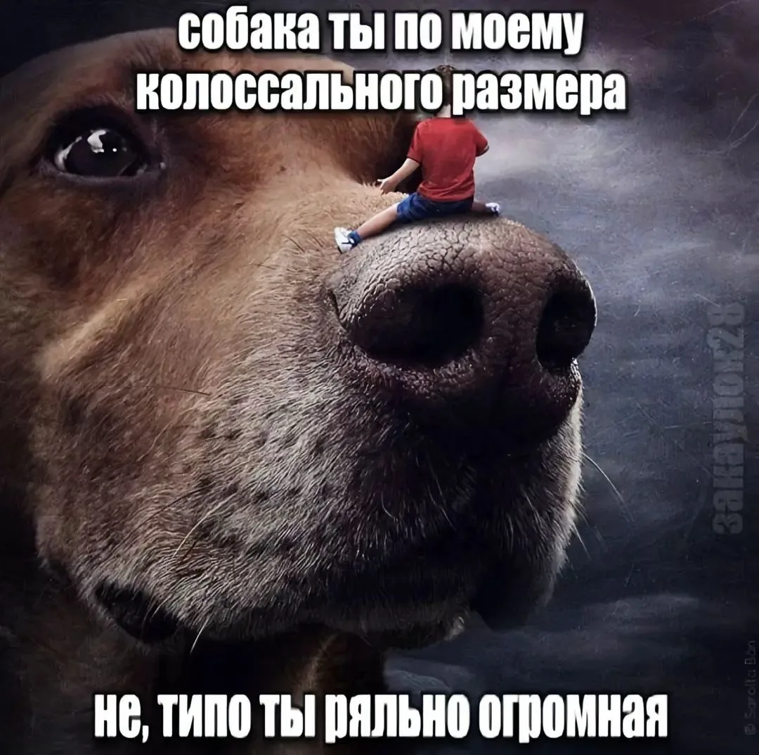 Иллюстрация к слову: Георгий Лесников