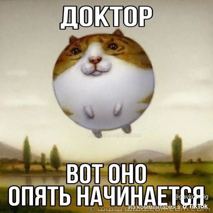 Иллюстрация к слову: Откапываю странные мемы в галерее часть не помню какая уже