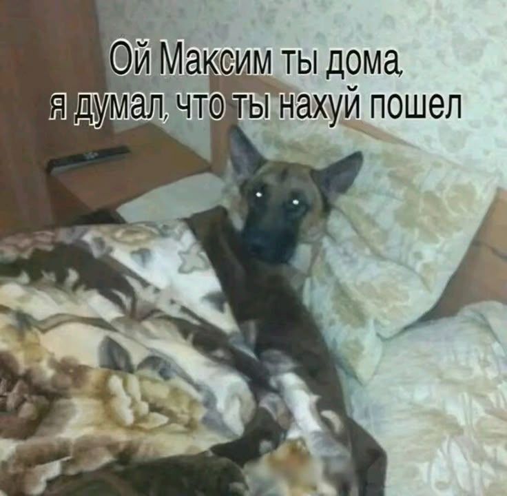 Иллюстрация к слову: Почему лжеегориха постит каждые 30 сек пост о группе?
