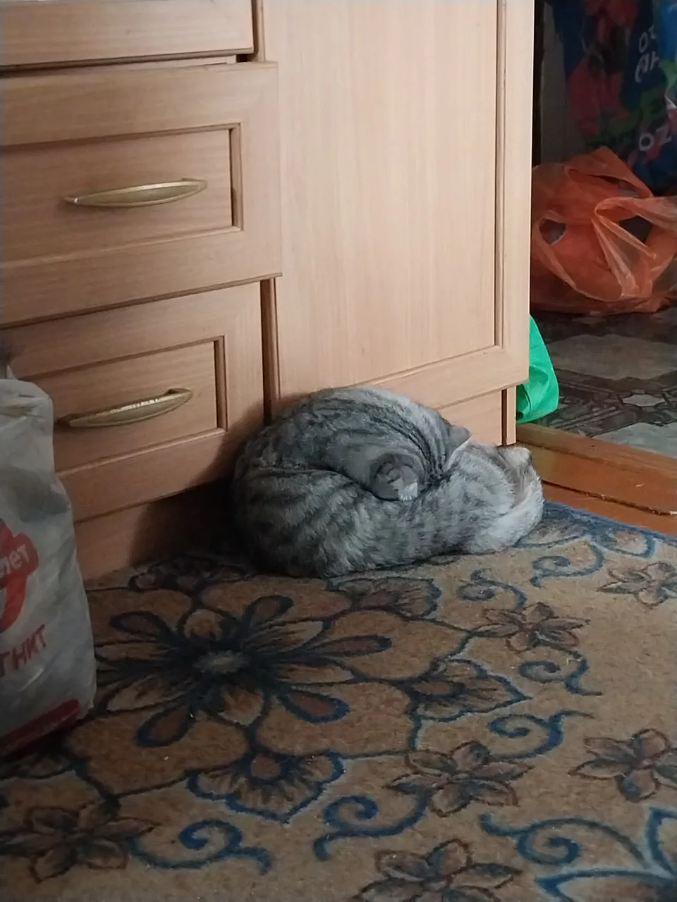 Иллюстрация к слову: Мая спит❤️