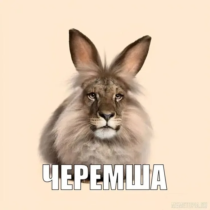 Иллюстрация к слову: Да хватит пожалуйста, я не ацетонов, и черемшин я не из-за…