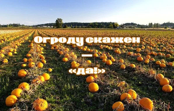 Иллюстрация к слову: Запуск программы «Огороду скажем — «да!»! Программа направл…