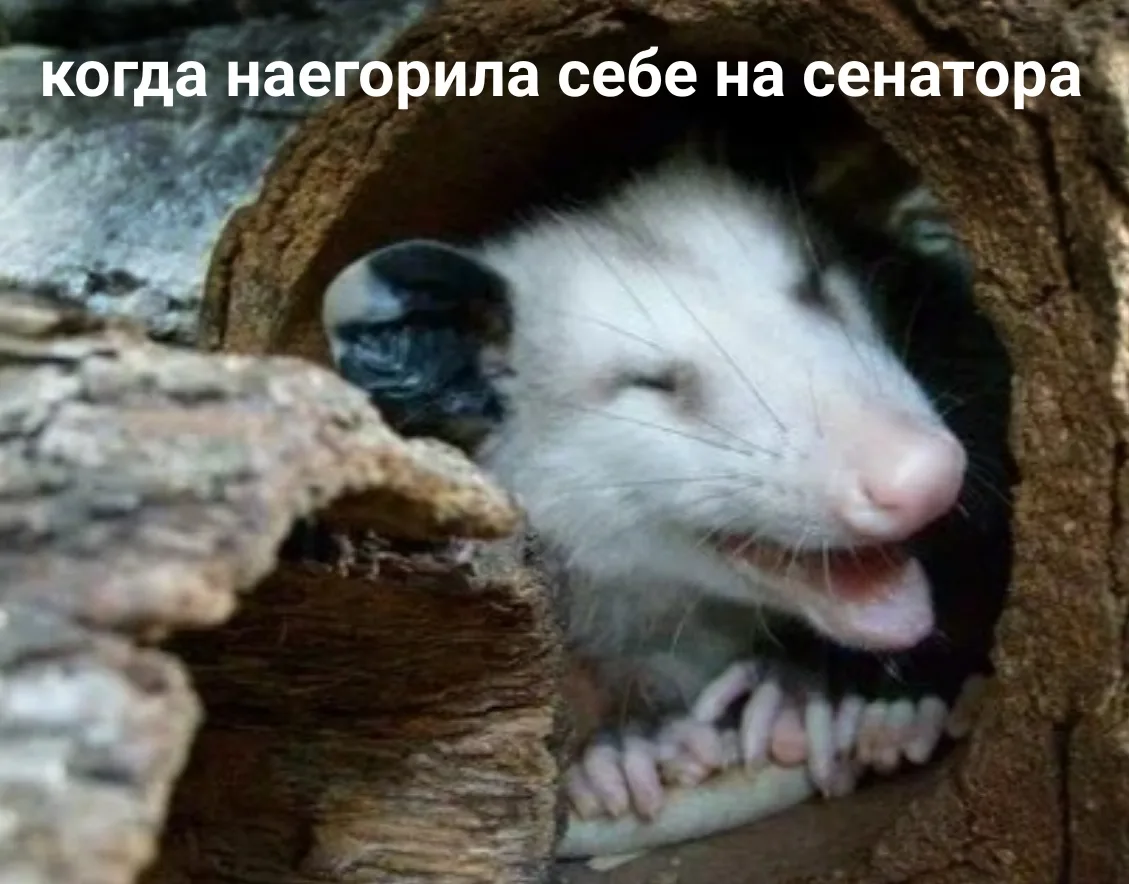 Иллюстрация к слову: Лена еГорбовская