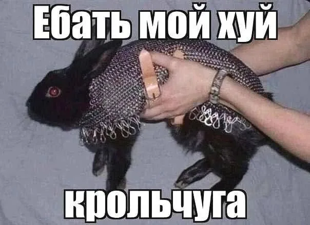 Иллюстрация к слову: смешной мем смотреть платно с смс, регистрацией, маминой ка…