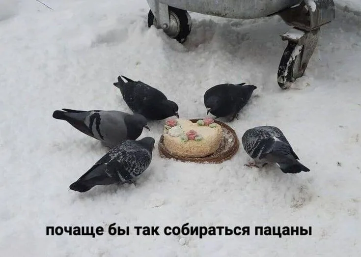 Иллюстрация к слову: Теперь я уважаемый Егор, поэтому поделюсь картинкой, котора…