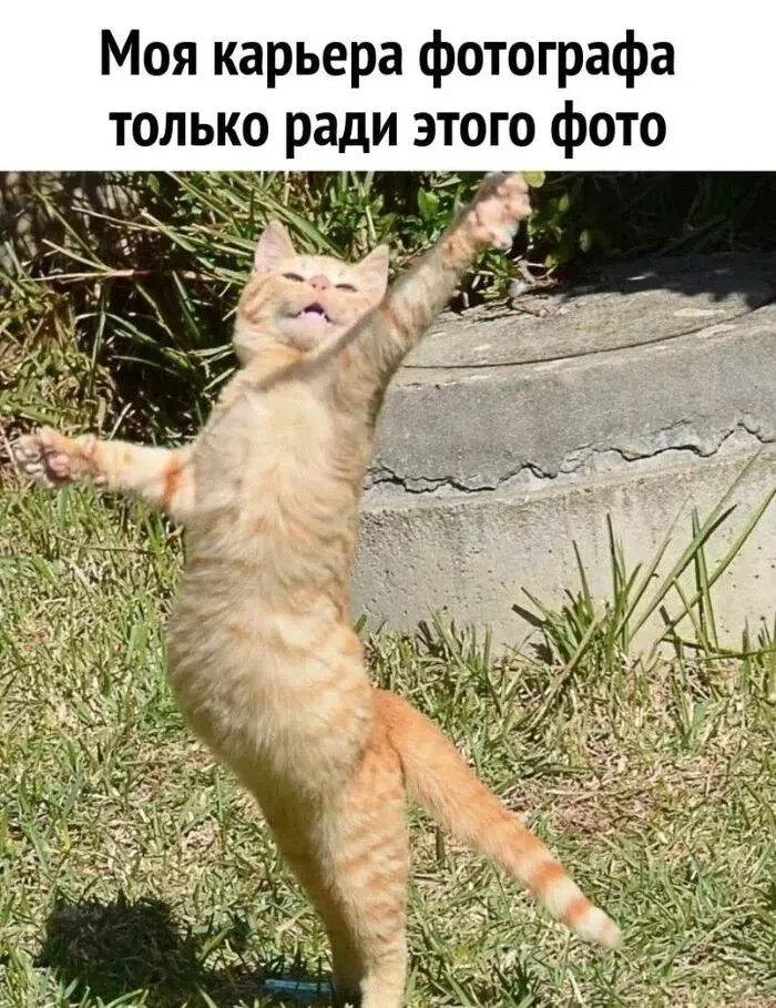 Иллюстрация к слову: Егор Терехов