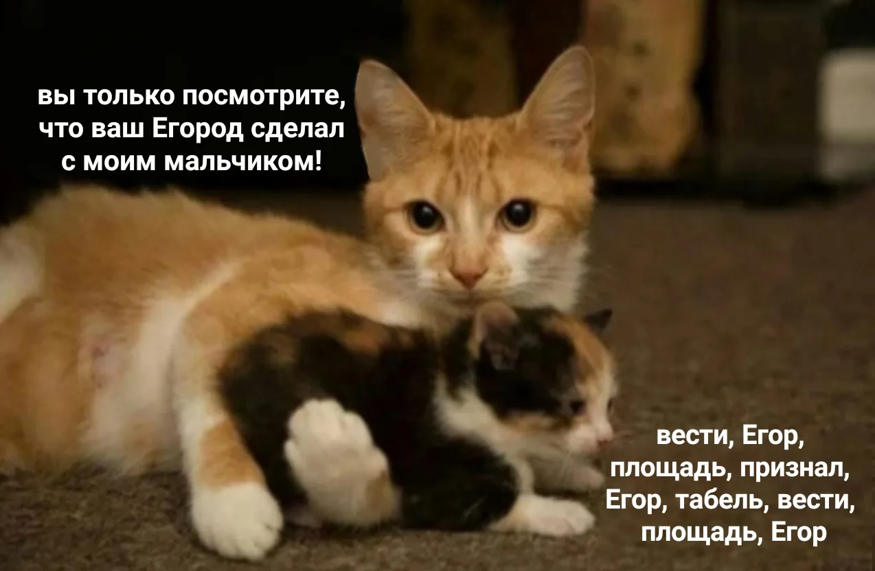 Иллюстрация к слову: #мем #мемегород