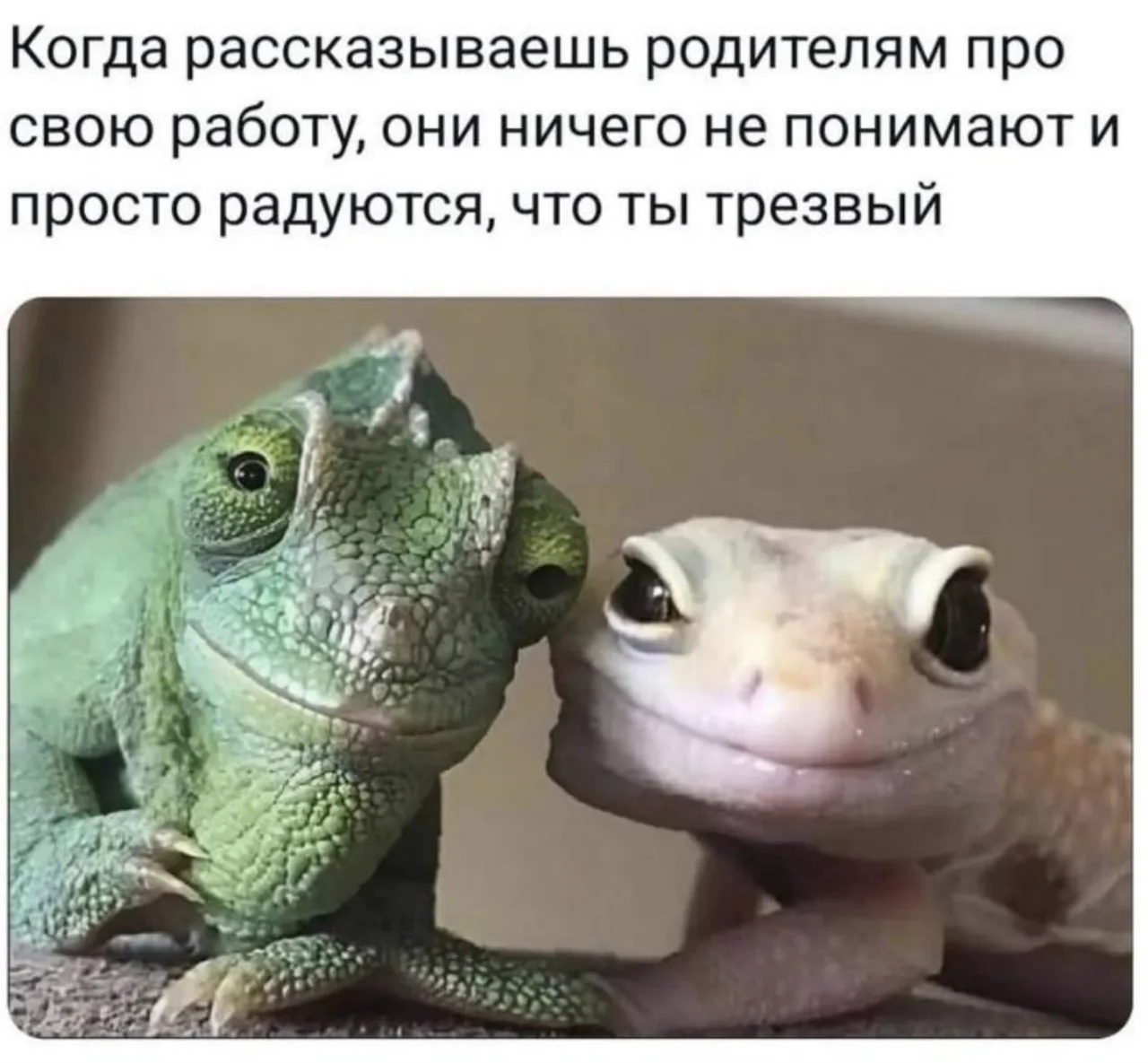 Иллюстрация к слову: Думаешь что вокруг одни мудаки. Так и есть. Потому что друг…
