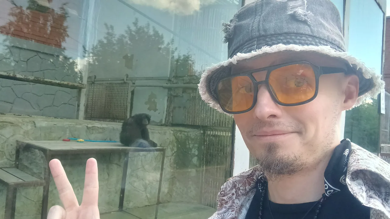 Иллюстрация к слову: А у вас есть в зоопарке бро, который хоть и не бро, но вы в…