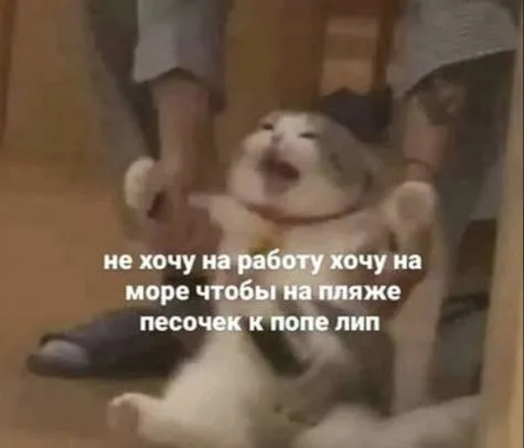 Иллюстрация к слову: Подозрительно хорошее утро продолжилось подозрительно хорош…