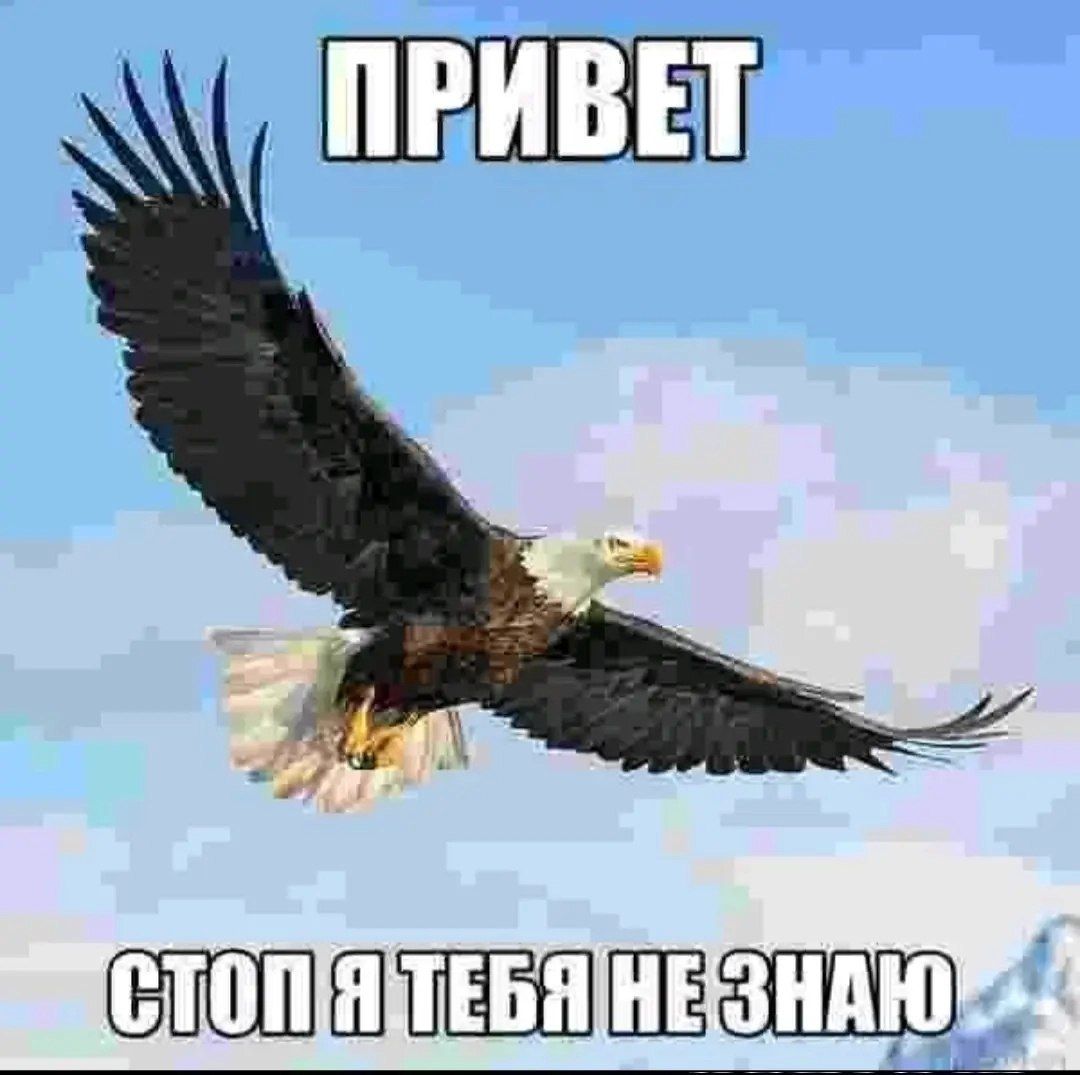 Иллюстрация к слову: Ситуация в Егороде