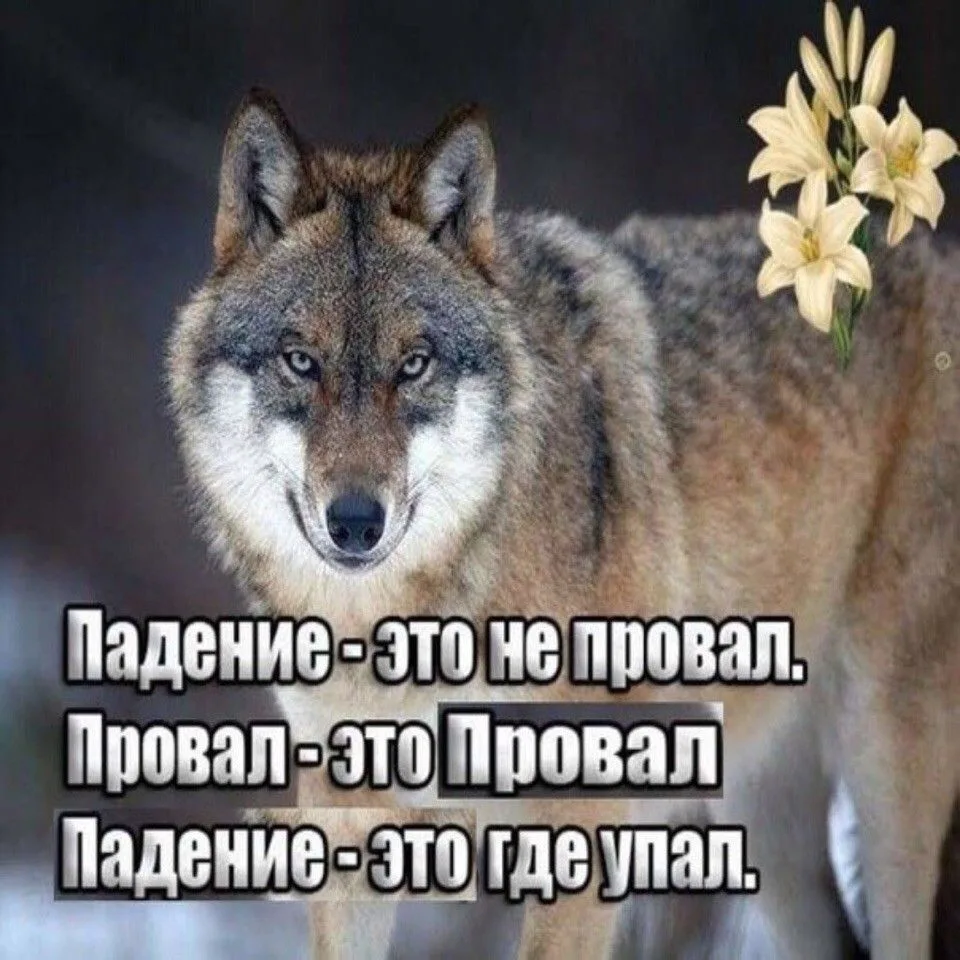 Иллюстрация к слову: Георгӥй
