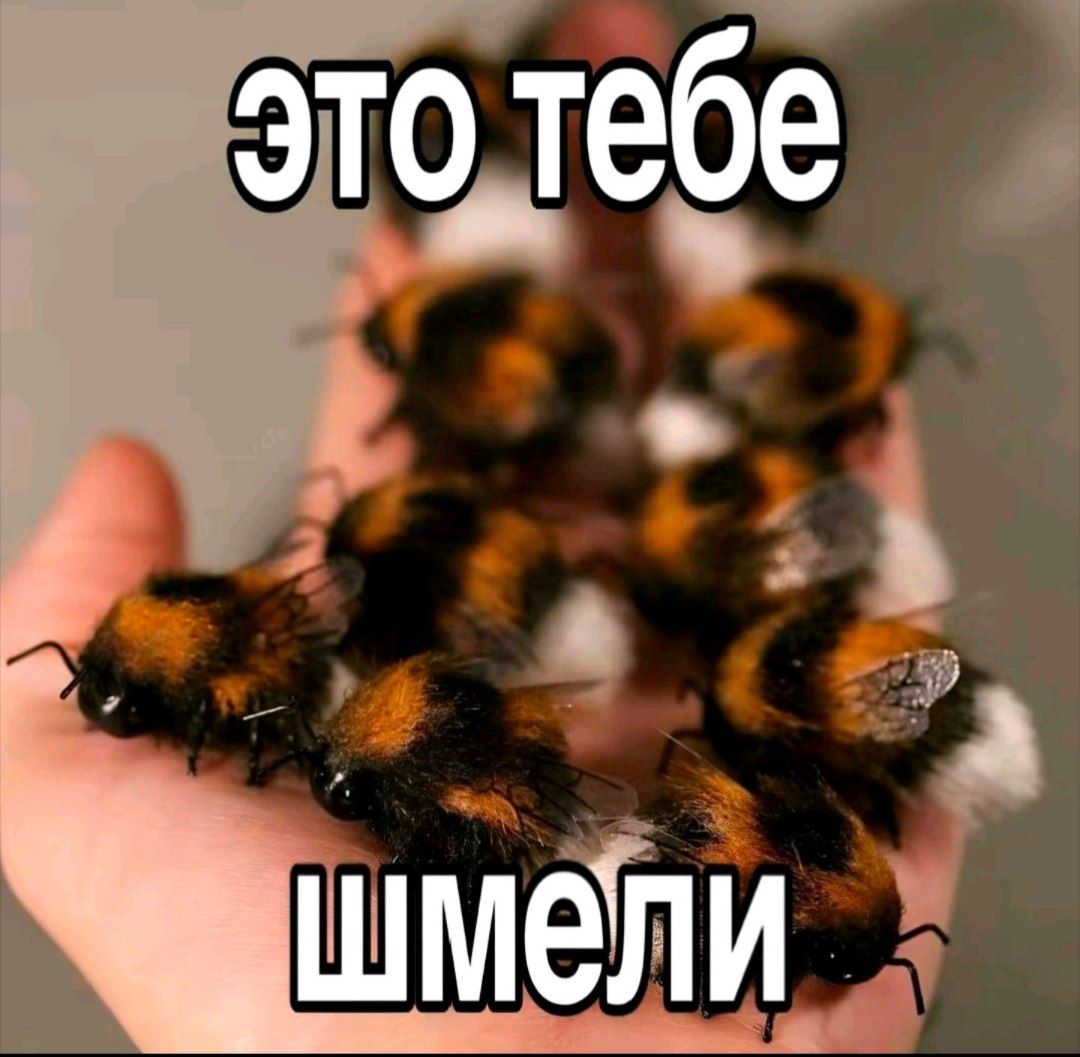 Иллюстрация к слову: Есть предложение для огорода вместо функции засеять сделать…
